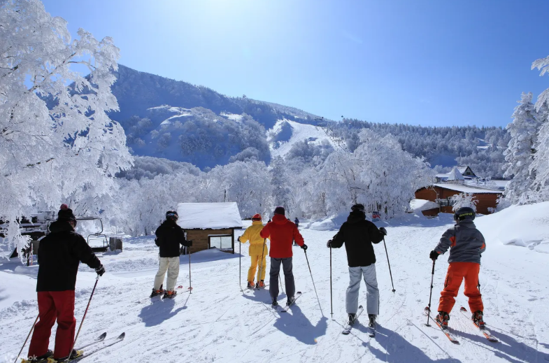 翎雪岭學員在雪地樹林旁滑雪